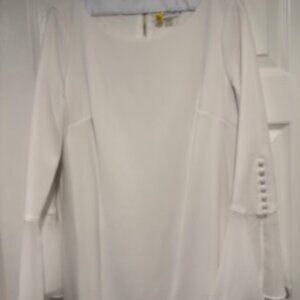 Calvin Klein Long Chiffon Trim Belle Sleeve Knee Length Crepe Sheat